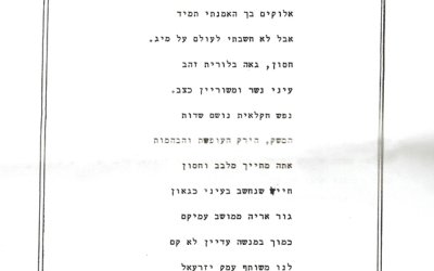 מתוך עלון הפלוגה