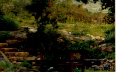 פינה בגן רון 1