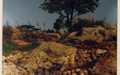 פינה בגן רון