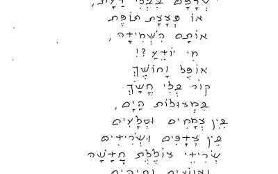 על הצוללת הנעדרת